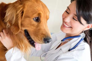 healthcare-financing